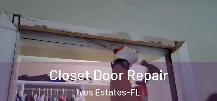 Closet Door Repair Ives Estates-FL