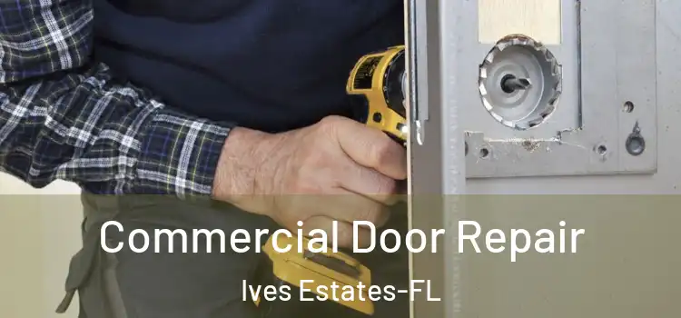 Commercial Door Repair Ives Estates-FL