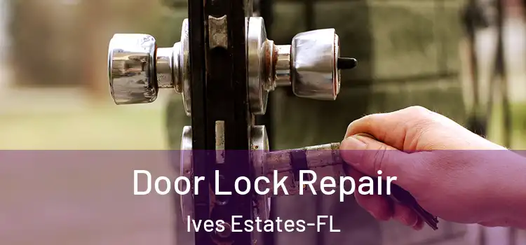 Door Lock Repair Ives Estates-FL