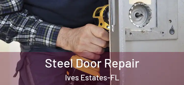 Steel Door Repair Ives Estates-FL